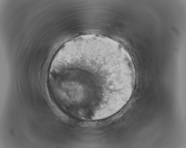X0000113050049200910081240