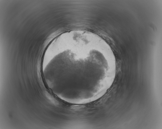 X0000113050051200910081240