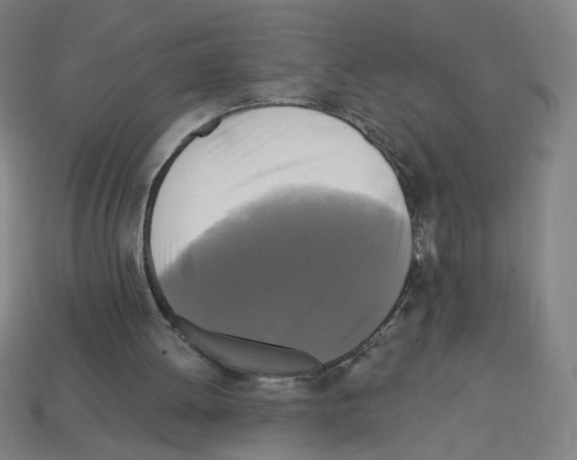 X0000113050052200910081240
