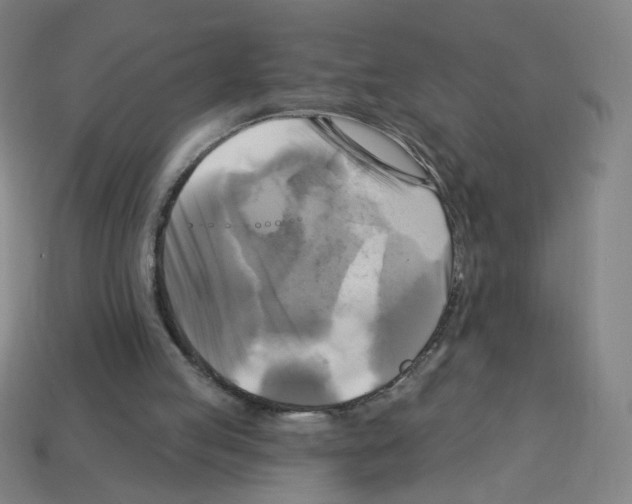 X0000113050053200910081240