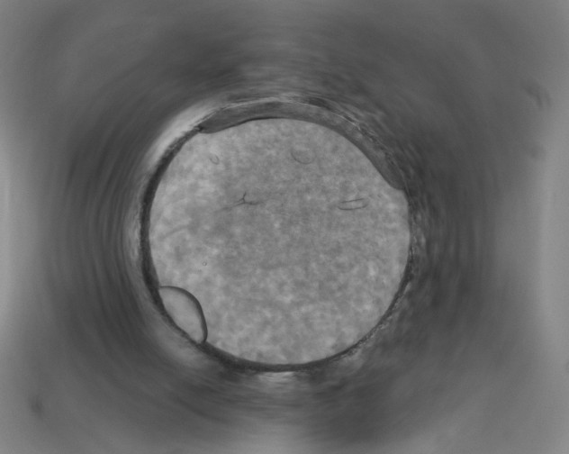 X0000113050054200910081240