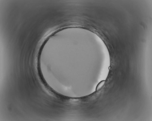 X0000113050055200910081240