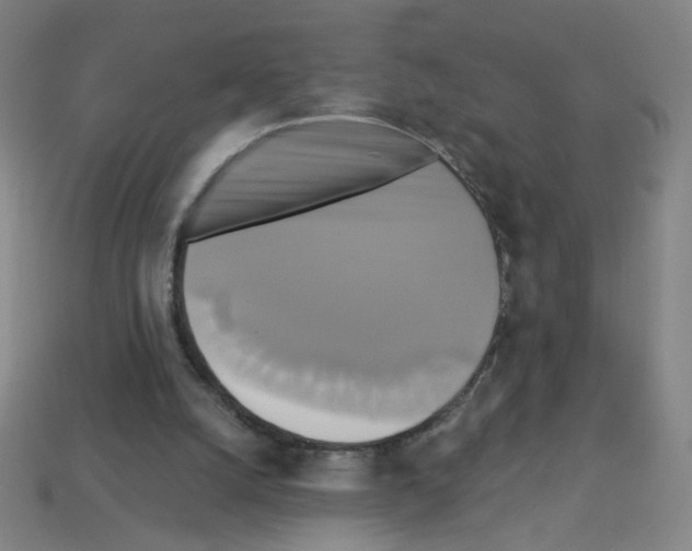 X0000113050056200910081240