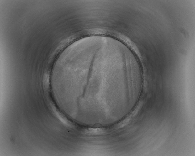 X0000113050057200910081240