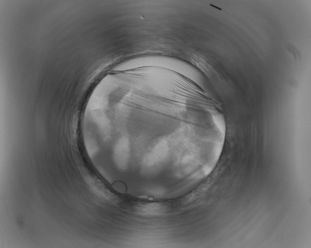 X0000113050058200910081240