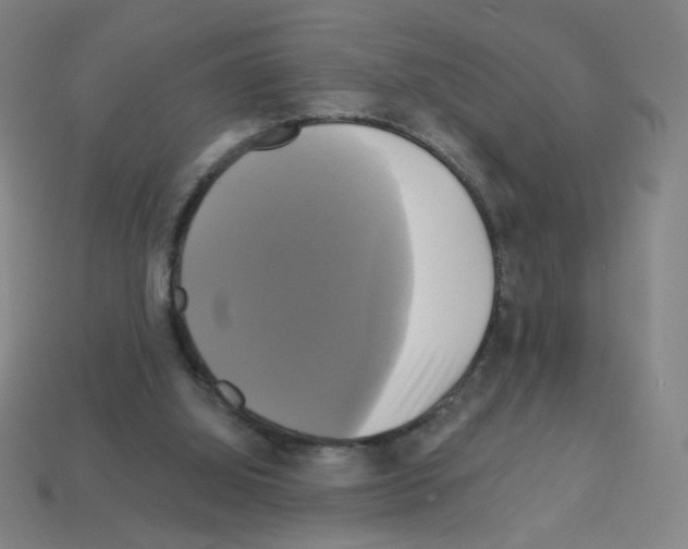 X0000113050060200910081240
