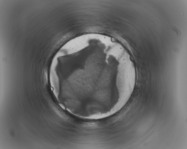 X0000113050061200910081240