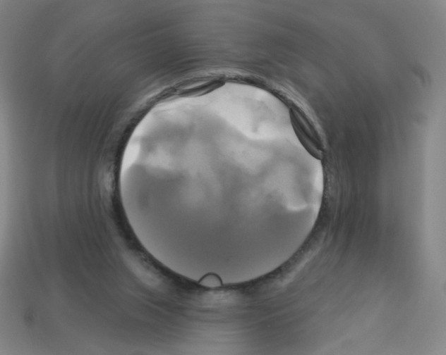 X0000113050063200910081240