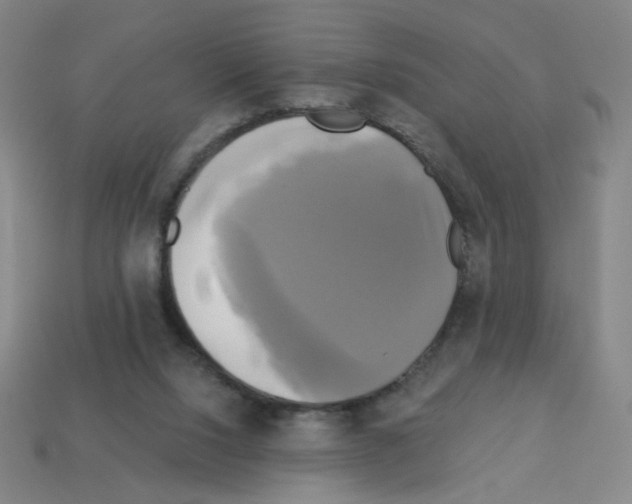 X0000113050064200910081240