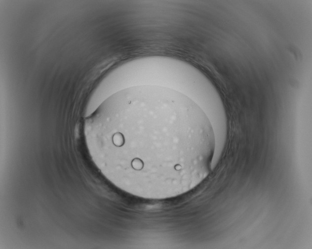 X0000113050068200910081240