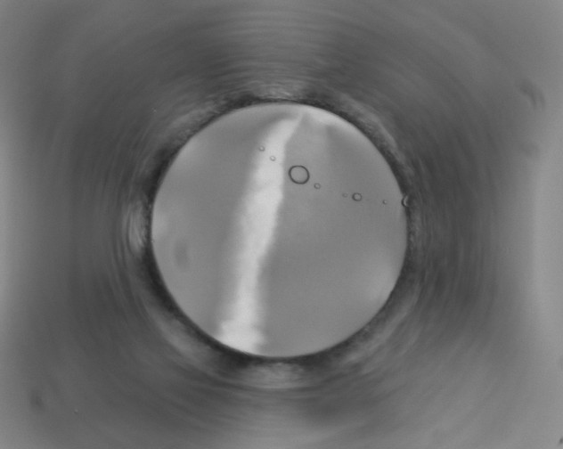 X0000113050069200910081240