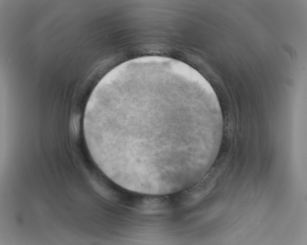 X0000113050070200910081240