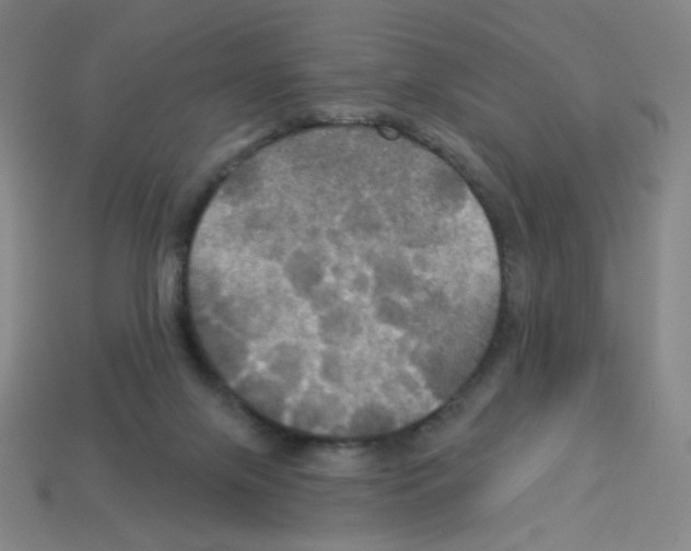 X0000113050071200910081240