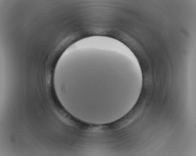 X0000113050072200910081240