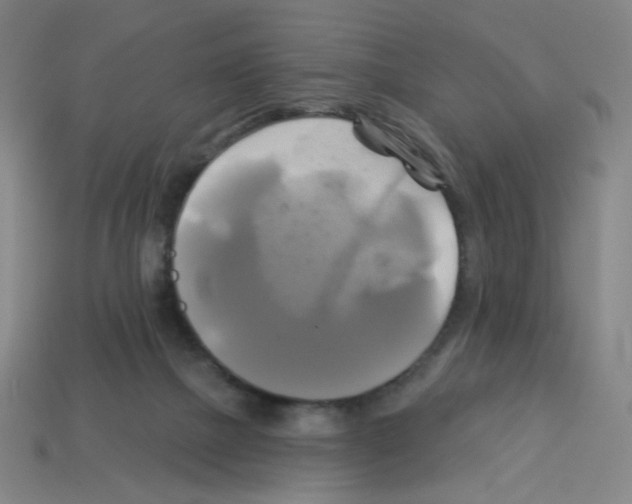 X0000113050073200910081240