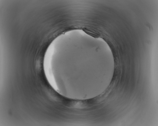 X0000113050074200910081240