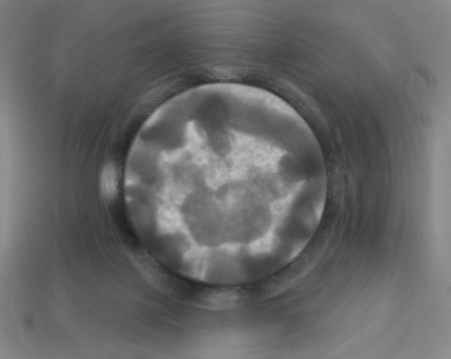 X0000113050075200910081240