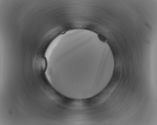 X0000113050076200910081240