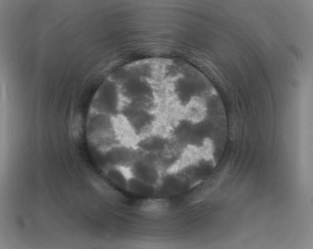 X0000113050077200910081240