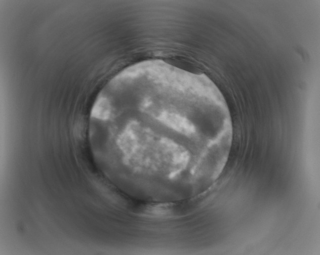 X0000113050078200910081240