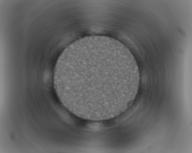 X0000113050079200910081240