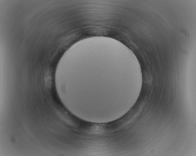 X0000113050080200910081240