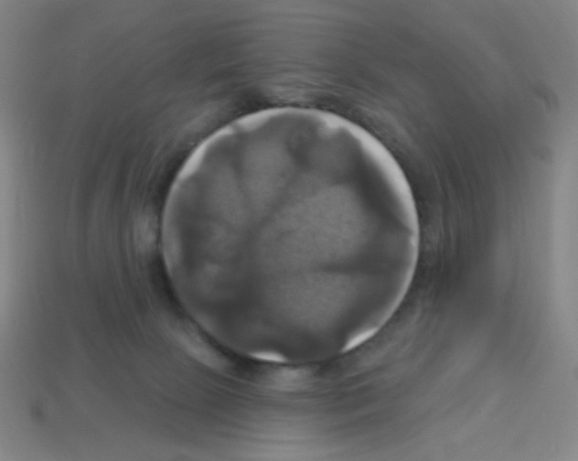 X0000113050081200910081240