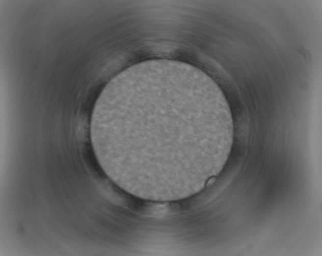 X0000113050083200910081240