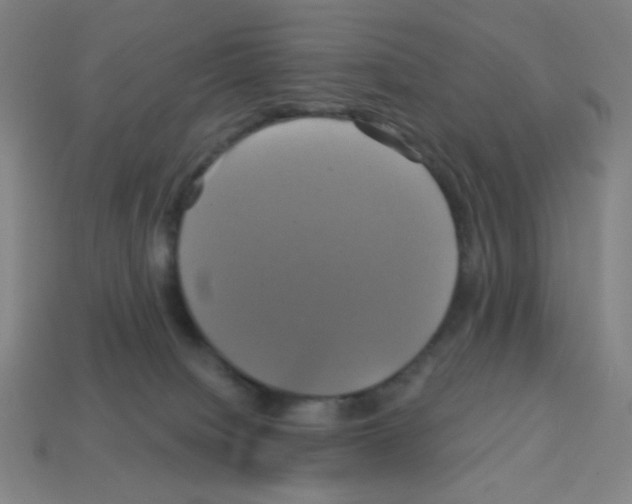 X0000113050084200910081240