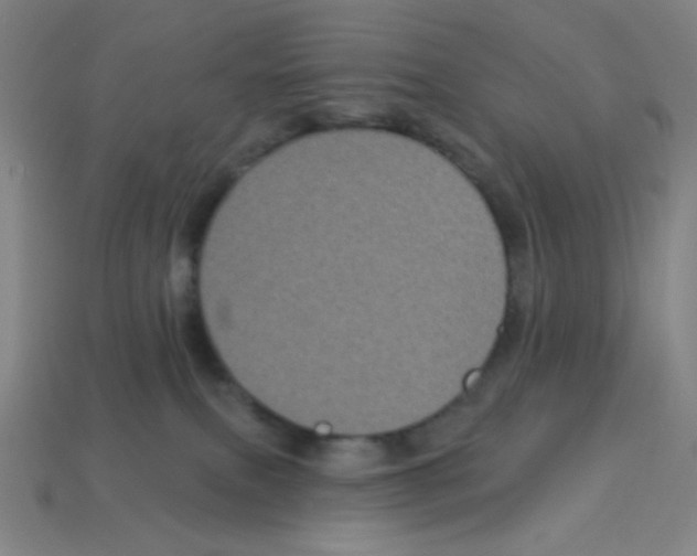 X0000113050087200910081240