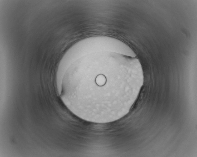 X0000113050088200910081240