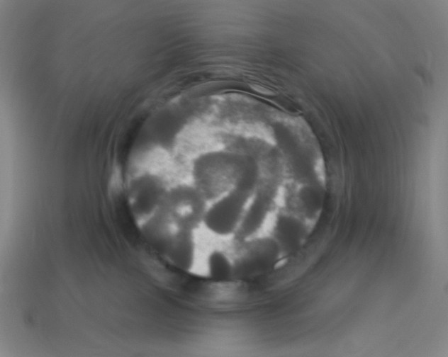 X0000113050089200910081240