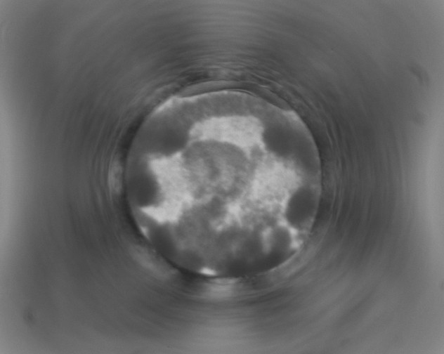 X0000113050090200910081240