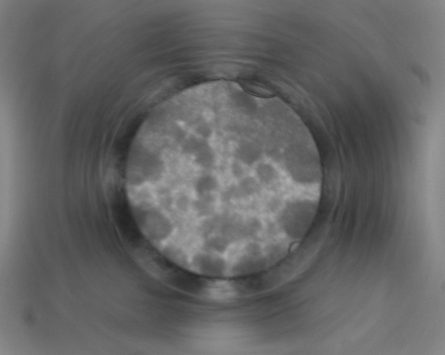 X0000113050091200910081240