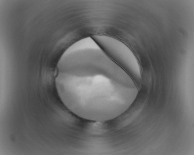 X0000113050092200910081240