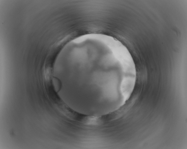 X0000113050093200910081240