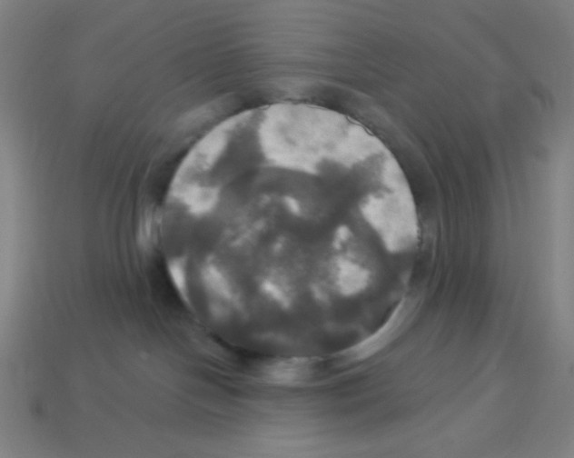 X0000113050094200910081240