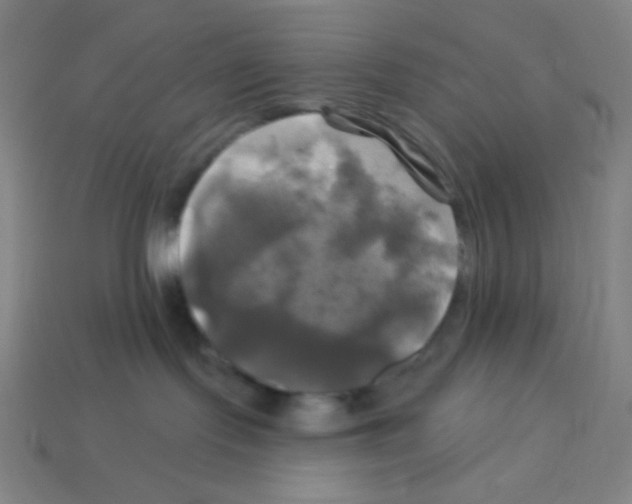 X0000113050095200910081240
