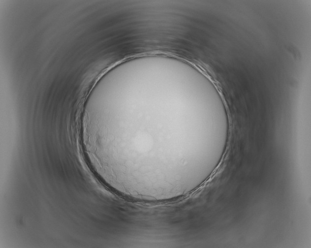 X0000113050097200910081240