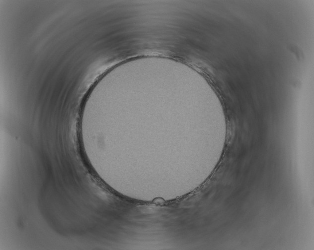 X0000113050098200910081240