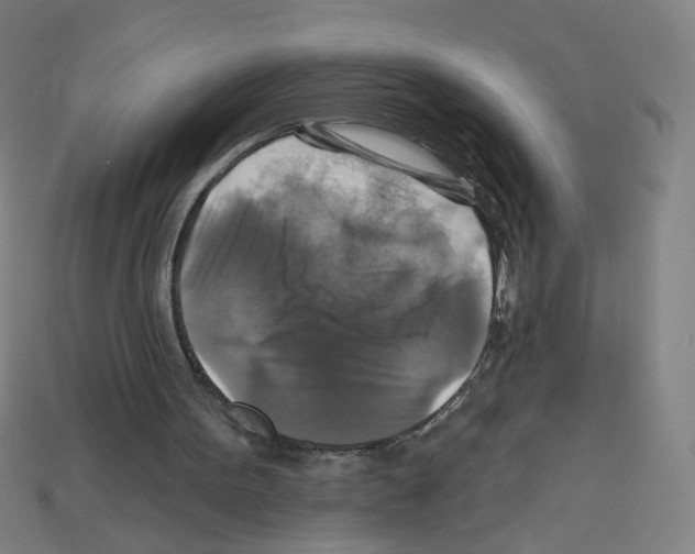 X0000113050099200910081240