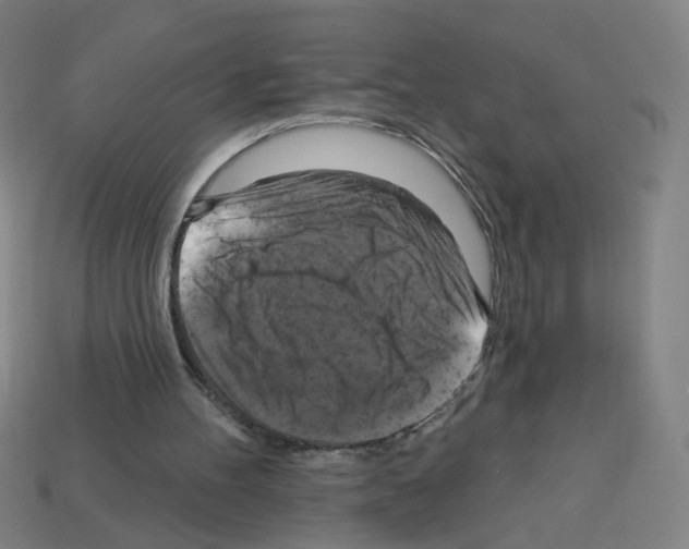 X0000113050100200910081240