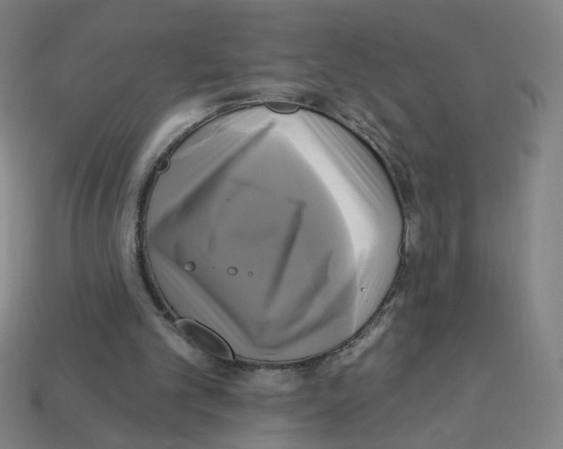 X0000113050101200910081240