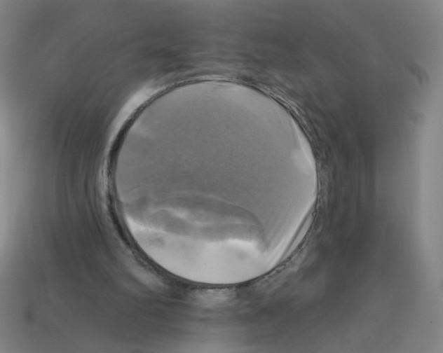 X0000113050102200910081240