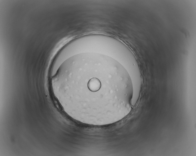 X0000113050104200910081240