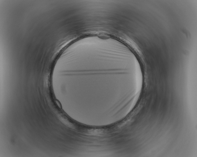 X0000113050105200910081240