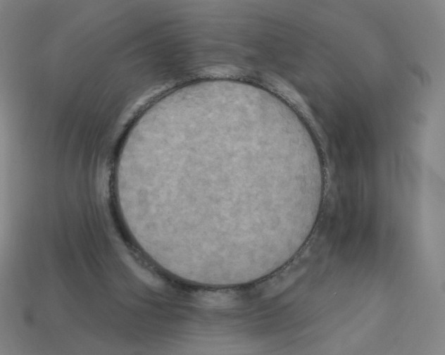 X0000113050106200910081240