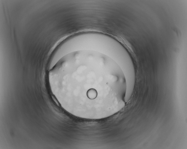 X0000113050108200910081240