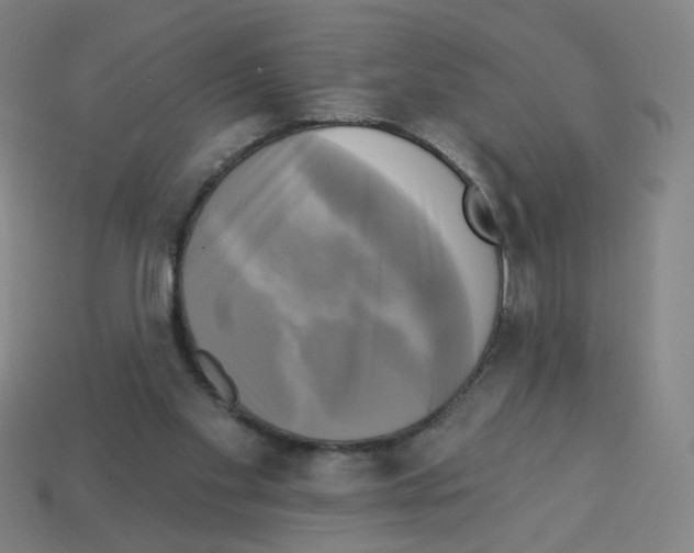 X0000113050109200910081240