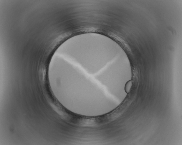 X0000113050110200910081240